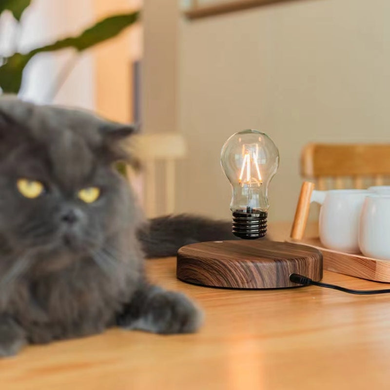 Bulbglow - stylish lamp with liquid bulb for unique decor | elesira