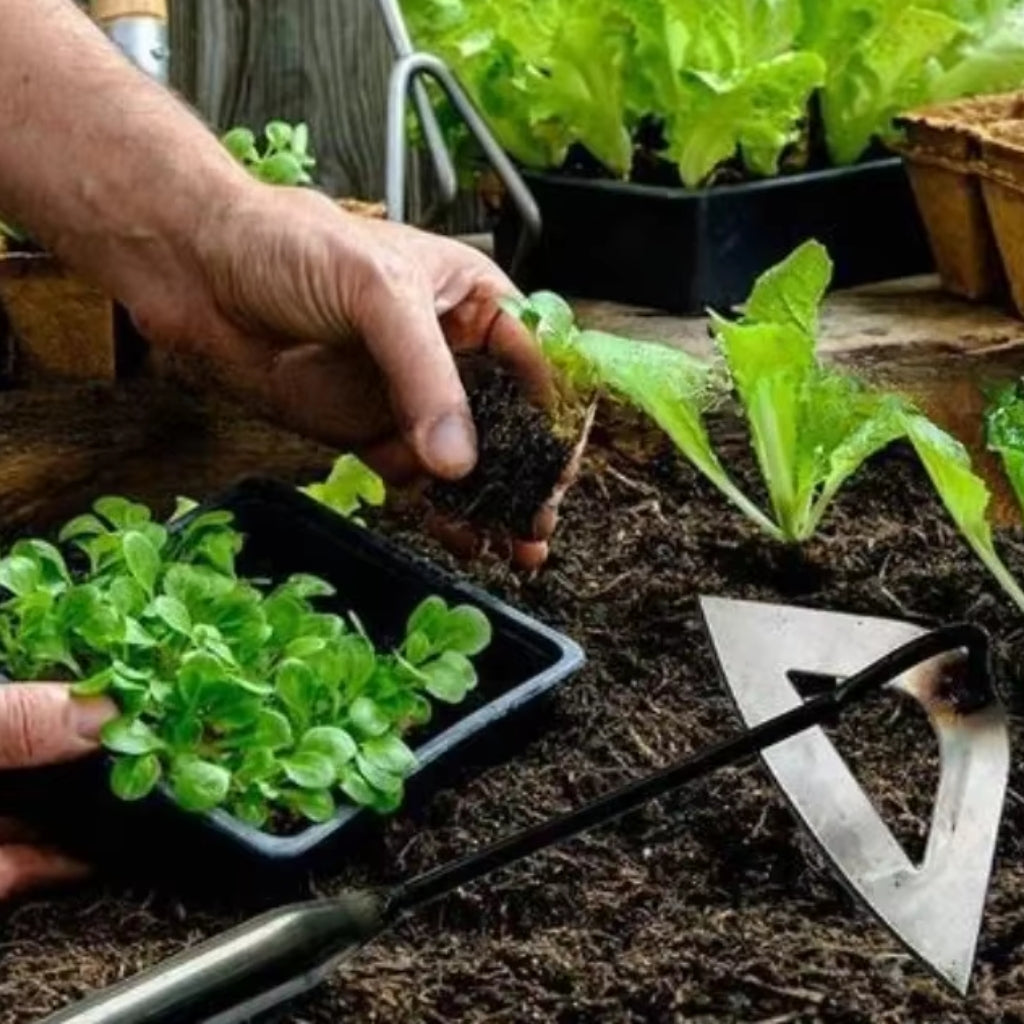 Weed Puller - Stand-Up Weeding Tool with Forged Steel Hollow Blade | elesira
