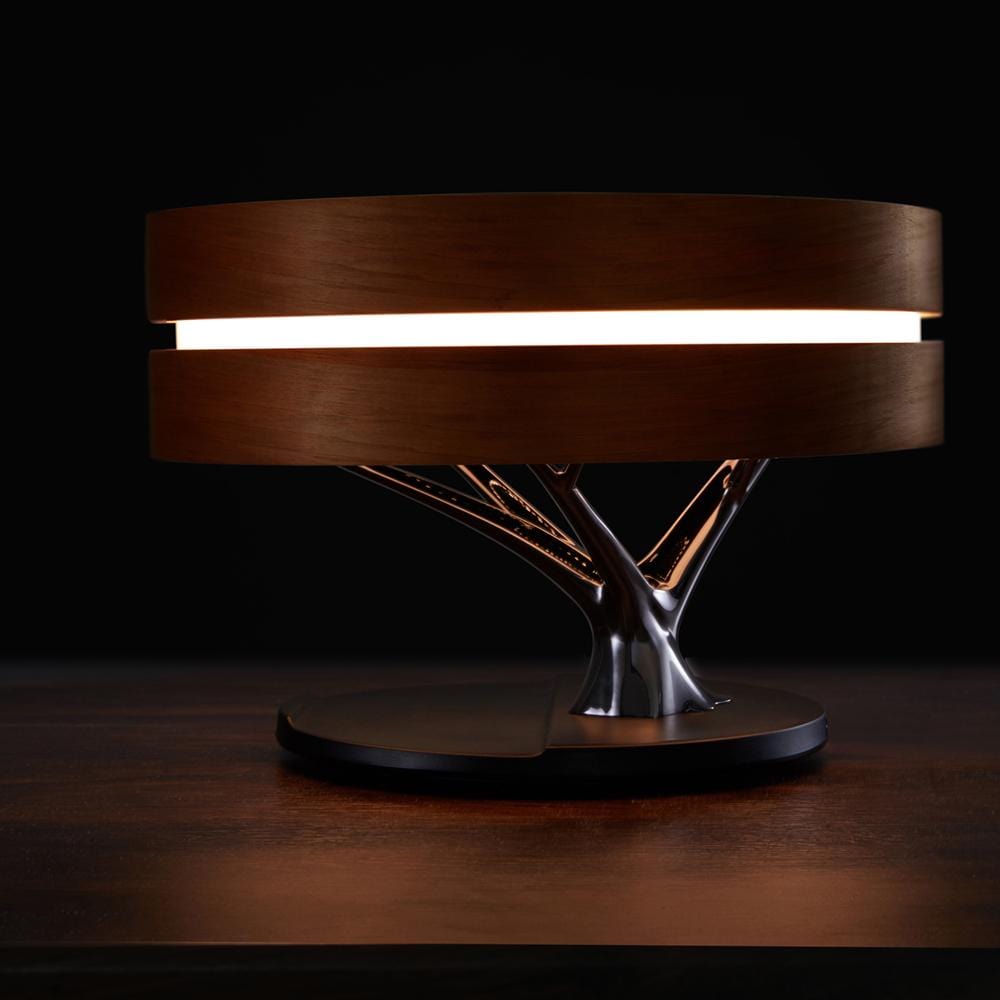 Lampada del cerchio della vita | elesira
