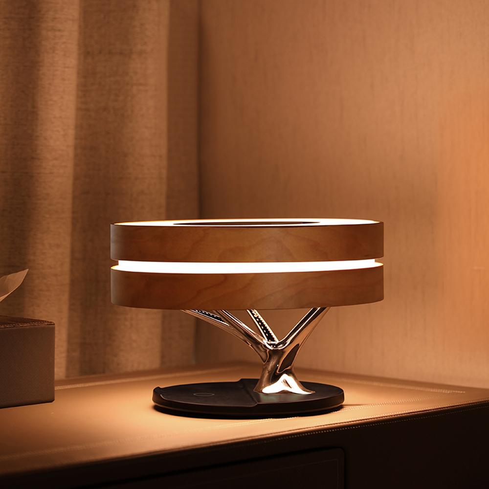 Lampada del cerchio della vita | elesira