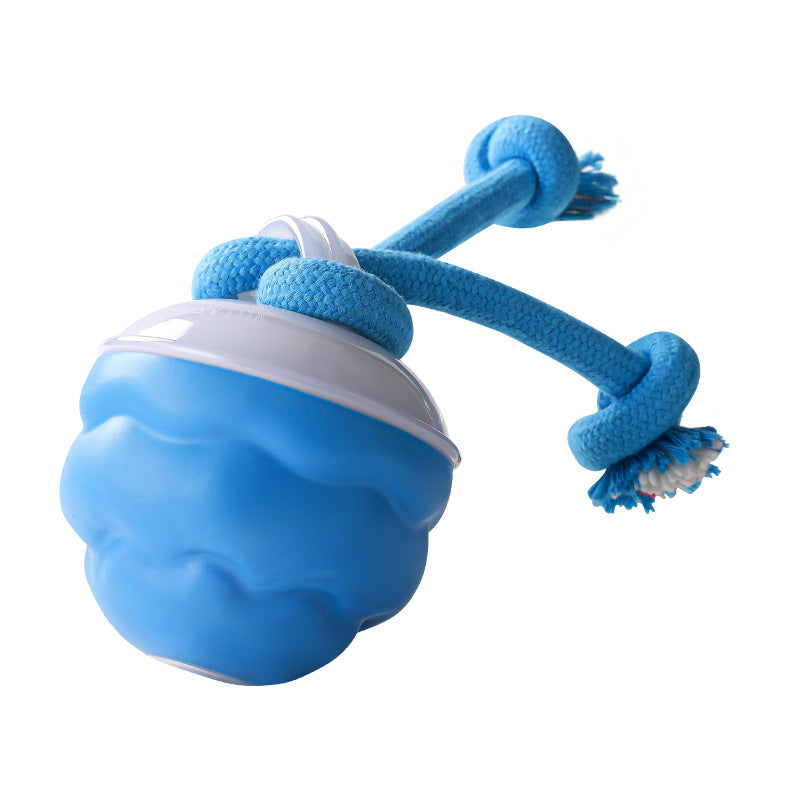 Sound-Activated LED Electronic Toy for Dogs | elesira