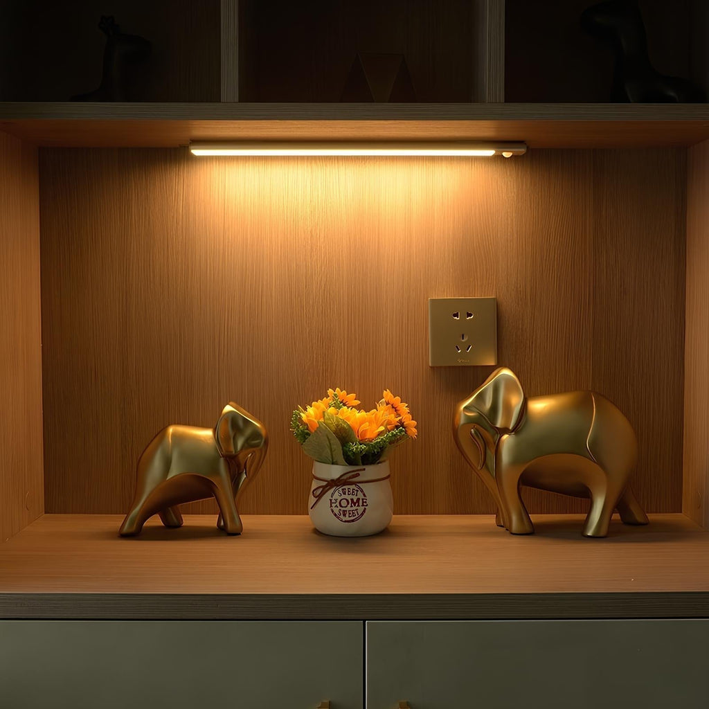 Wireless Rechargeable Motion-Activated LED Light for Home | elesira
