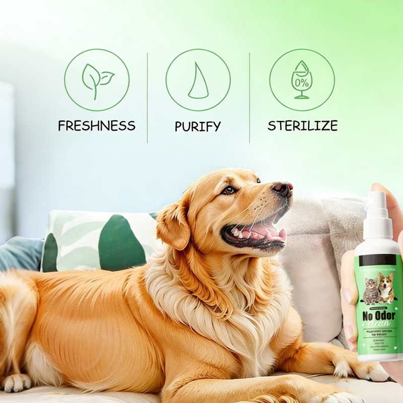 SmileGuard | Transforma el aliento de tu mascota en pura alegría y abrazos sin fin | elesira