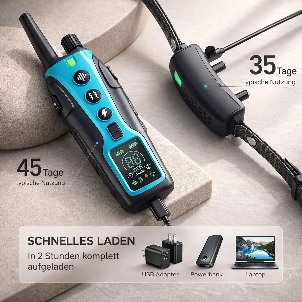 Smart Control Dog Training Collar with Remote | elesira