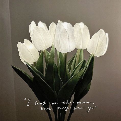 Maribel | Tulip-Shaped Night Lamp | elesira