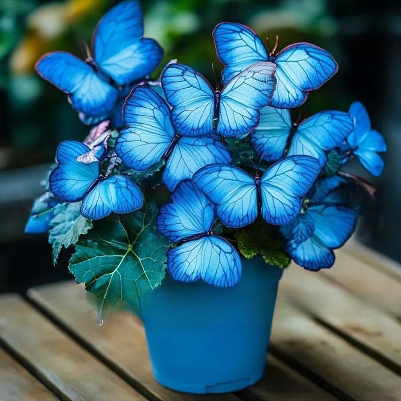 Nasiona VividFlair Butterfly Bloom | Zamień swój ogród w olśniewającą krainę motyli, która zachwyci każdego | elesira