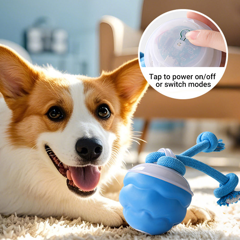 Sound-Activated LED Electronic Toy for Dogs | elesira